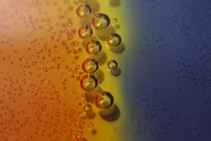 Naujas kvietimas teikti paraiskas bendriems VDU KTU LSMU ir LEI projektams